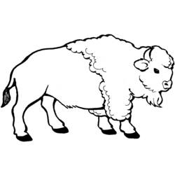 Disegno da colorare: Bisonte (Animali) #1195 - Pagine da Colorare Stampabili Gratuite