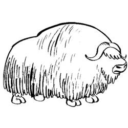 Disegno da colorare: Bisonte (Animali) #1200 - Pagine da Colorare Stampabili Gratuite