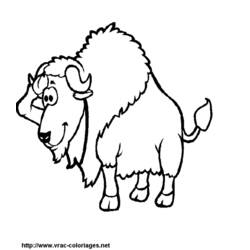 Disegno da colorare: Bisonte (Animali) #1203 - Pagine da Colorare Stampabili Gratuite