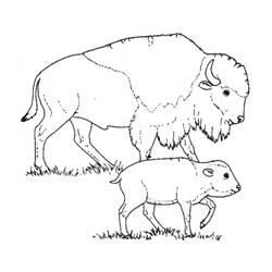Disegno da colorare: Bisonte (Animali) #1205 - Pagine da Colorare Stampabili Gratuite