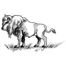 Disegno da colorare: Bisonte (Animali) #1206 - Pagine da Colorare Stampabili Gratuite
