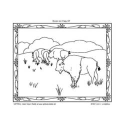 Disegno da colorare: Bisonte (Animali) #1207 - Pagine da Colorare Stampabili Gratuite