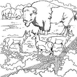 Disegno da colorare: Bisonte (Animali) #1209 - Pagine da Colorare Stampabili Gratuite