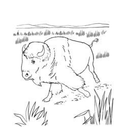 Disegno da colorare: Bisonte (Animali) #1226 - Pagine da Colorare Stampabili Gratuite