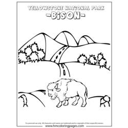 Disegno da colorare: Bisonte (Animali) #1239 - Pagine da Colorare Stampabili Gratuite