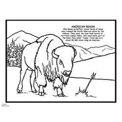 Disegno da colorare: Bisonte (Animali) #1257 - Pagine da Colorare Stampabili Gratuite