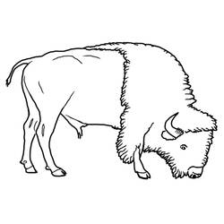 Disegno da colorare: Bisonte (Animali) #1282 - Pagine da Colorare Stampabili Gratuite