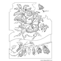 Disegno da colorare: bruco (Animali) #18327 - Pagine da Colorare Stampabili Gratuite