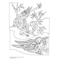 Disegno da colorare: Camaleonte (Animali) #1416 - Pagine da Colorare Stampabili Gratuite