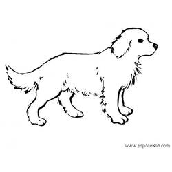 Disegno da colorare: Cane (Animali) #14 - Pagine da Colorare Stampabili Gratuite
