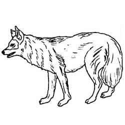 Disegno da colorare: Cane (Animali) #21 - Pagine da Colorare Stampabili Gratuite