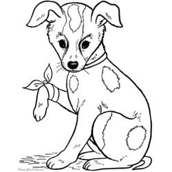 Disegno da colorare: Cane (Animali) #27 - Pagine da Colorare Stampabili Gratuite