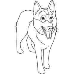 Disegno da colorare: Cane (Animali) #3095 - Pagine da Colorare Stampabili Gratuite