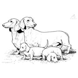 Disegno da colorare: Cane (Animali) #3099 - Pagine da Colorare Stampabili Gratuite