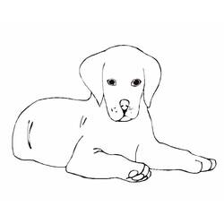 Disegno da colorare: Cane (Animali) #3108 - Pagine da Colorare Stampabili Gratuite
