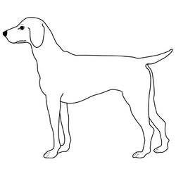 Disegno da colorare: Cane (Animali) #3123 - Pagine da Colorare Stampabili Gratuite
