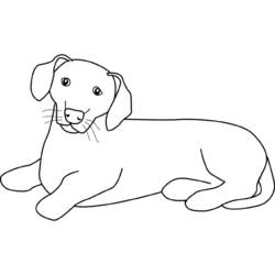Disegno da colorare: Cane (Animali) #3126 - Pagine da Colorare Stampabili Gratuite