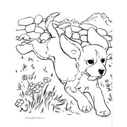Disegno da colorare: Cane (Animali) #3129 - Pagine da Colorare Stampabili Gratuite
