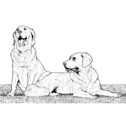 Disegno da colorare: Cane (Animali) #3134 - Pagine da Colorare Stampabili Gratuite