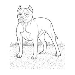 Disegno da colorare: Cane (Animali) #3138 - Pagine da Colorare Stampabili Gratuite