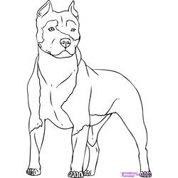 Disegno da colorare: Cane (Animali) #3149 - Pagine da Colorare Stampabili Gratuite