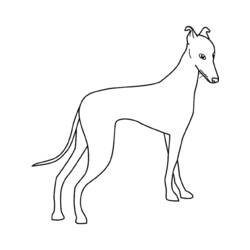 Disegno da colorare: Cane (Animali) #3156 - Pagine da Colorare Stampabili Gratuite