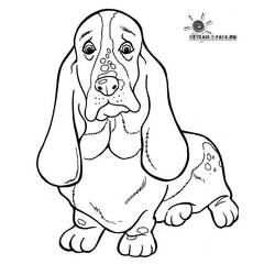 Disegno da colorare: Cane (Animali) #3164 - Pagine da Colorare Stampabili Gratuite