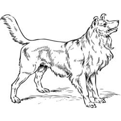 Disegno da colorare: Cane (Animali) #3185 - Pagine da Colorare Stampabili Gratuite