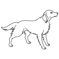 Disegno da colorare: Cane (Animali) #3190 - Pagine da Colorare Stampabili Gratuite
