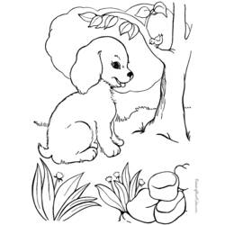 Disegno da colorare: Cane (Animali) #39 - Pagine da Colorare Stampabili Gratuite