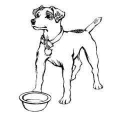 Disegno da colorare: Cane (Animali) #4 - Pagine da Colorare Stampabili Gratuite