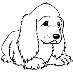 Disegno da colorare: Cane (Animali) #6 - Pagine da Colorare Stampabili Gratuite