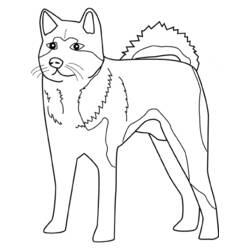 Disegno da colorare: Cane (Animali) #62 - Pagine da Colorare Stampabili Gratuite