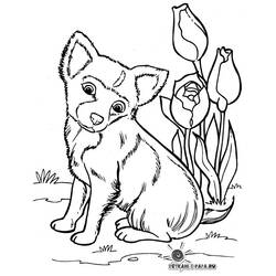 Disegno da colorare: Cane (Animali) #69 - Pagine da Colorare Stampabili Gratuite
