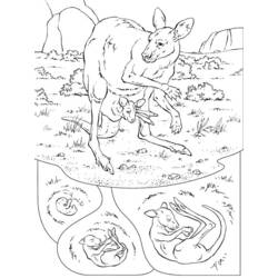 Disegno da colorare: Canguro (Animali) #9151 - Pagine da Colorare Stampabili Gratuite