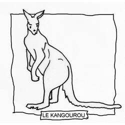 Disegno da colorare: Canguro (Animali) #9153 - Pagine da Colorare Stampabili Gratuite