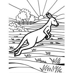 Disegno da colorare: Canguro (Animali) #9161 - Pagine da Colorare Stampabili Gratuite