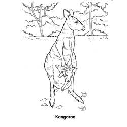 Disegno da colorare: Canguro (Animali) #9164 - Pagine da Colorare Stampabili Gratuite