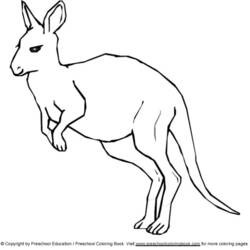 Disegno da colorare: Canguro (Animali) #9193 - Pagine da Colorare Stampabili Gratuite