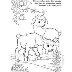 Disegno da colorare: Capra (Animali) #2520 - Pagine da Colorare Stampabili Gratuite