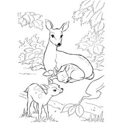 Disegno da colorare: capriolo (Animali) #2565 - Pagine da Colorare Stampabili Gratuite