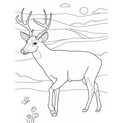Disegno da colorare: capriolo (Animali) #2568 - Pagine da Colorare Stampabili Gratuite