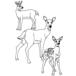 Disegno da colorare: capriolo (Animali) #2619 - Pagine da Colorare Stampabili Gratuite