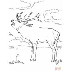 Disegno da colorare: capriolo (Animali) #2653 - Pagine da Colorare Stampabili Gratuite