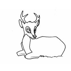 Disegno da colorare: capriolo (Animali) #2677 - Pagine da Colorare Stampabili Gratuite