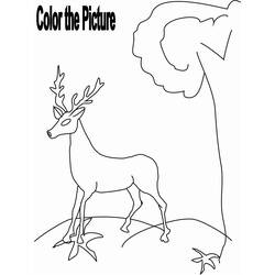 Disegno da colorare: capriolo (Animali) #2725 - Pagine da Colorare Stampabili Gratuite