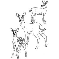 Disegno da colorare: capriolo (Animali) #2760 - Pagine da Colorare Stampabili Gratuite