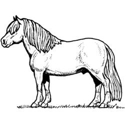 Disegno da colorare: Cavallo (Animali) #2162 - Pagine da Colorare Stampabili Gratuite