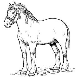 Disegno da colorare: Cavallo (Animali) #2168 - Pagine da Colorare Stampabili Gratuite