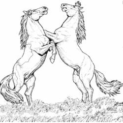 Disegno da colorare: Cavallo (Animali) #2170 - Pagine da Colorare Stampabili Gratuite